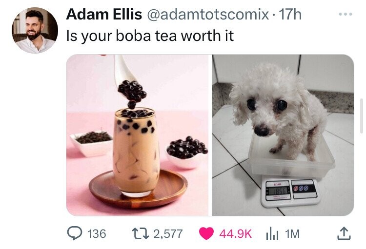 Adam Ellis @adamtotscomix-17h ... Is your boba tea worth it 1856 - 136 2,577 44.9K 1M