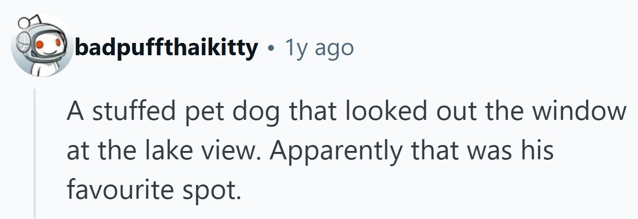 badpuffthaikitty . . 1y ago A stuffed pet dog that looked out the window at the lake view. Apparently that was his favourite spot. 