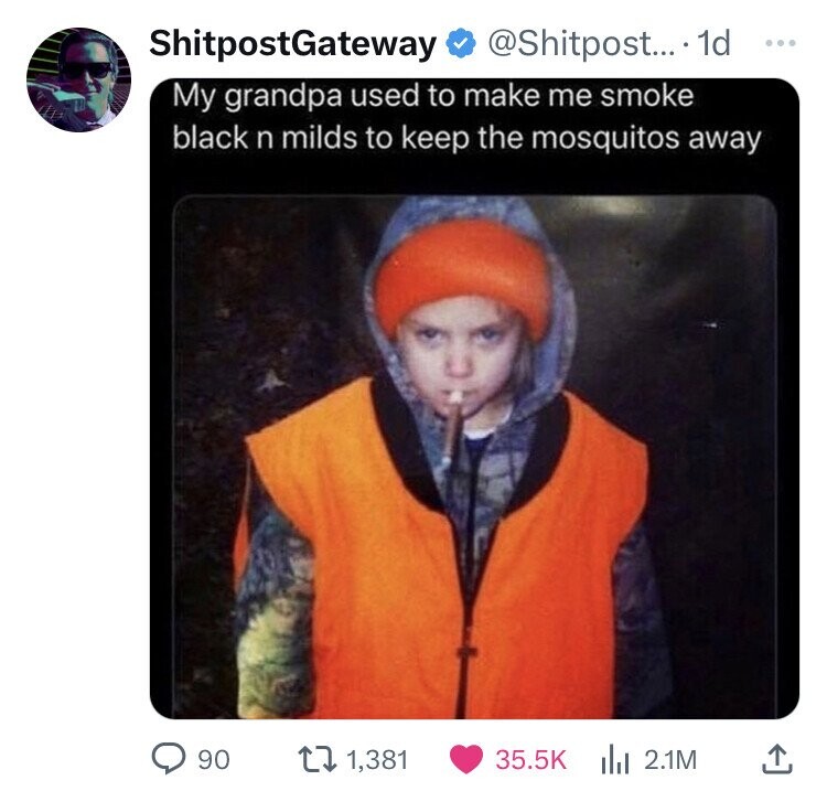 ShitpostGateway @Shitpost... 1d ... My grandpa used to make me smoke black n milds to keep the mosquitos away 90 1,381 35.5K 2.1M