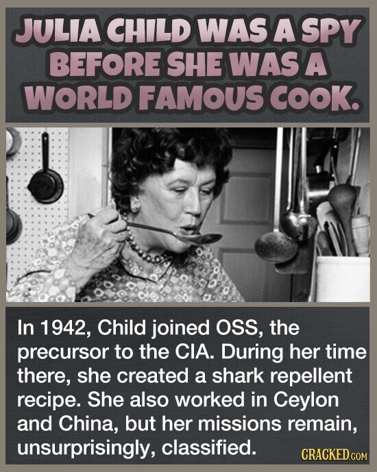 JULIA CHILD WAS A SPY BEFORE SHE WAS A WORLD FAMOUS COOK. In 1942, Child joined OSS, the precursor to the CIA. During her time there, she created a shark repellent recipe. She also worked in Ceylon and China, but her missions remain, unsurprisingly, classified. CRACKED.COM