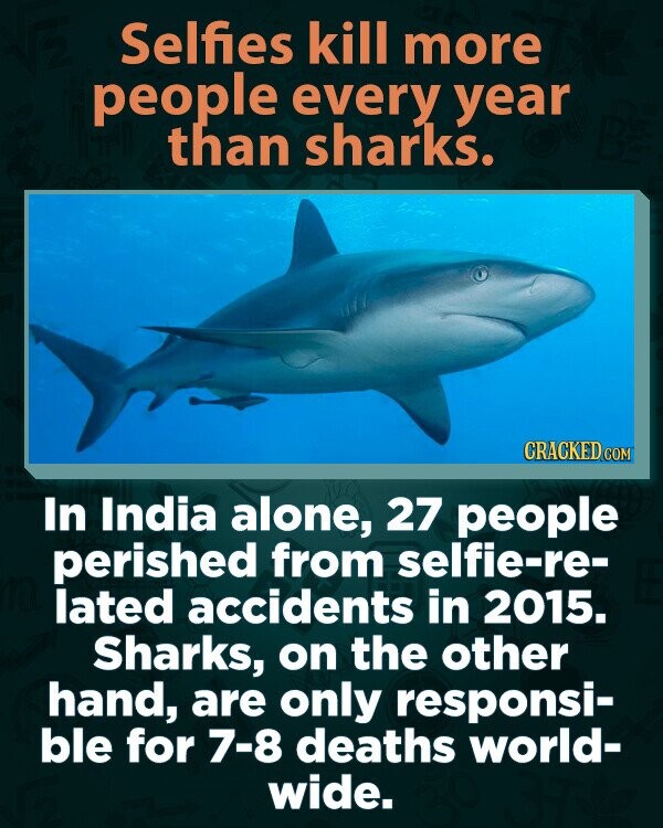 Selfies kill more people every year than sharks. CRACKED COM In India alone, 27 people perished from selfie-re- lated accidents in 2015. Sharks, on the other hand, are only responsi- ble for 7-8 deaths world- wide.