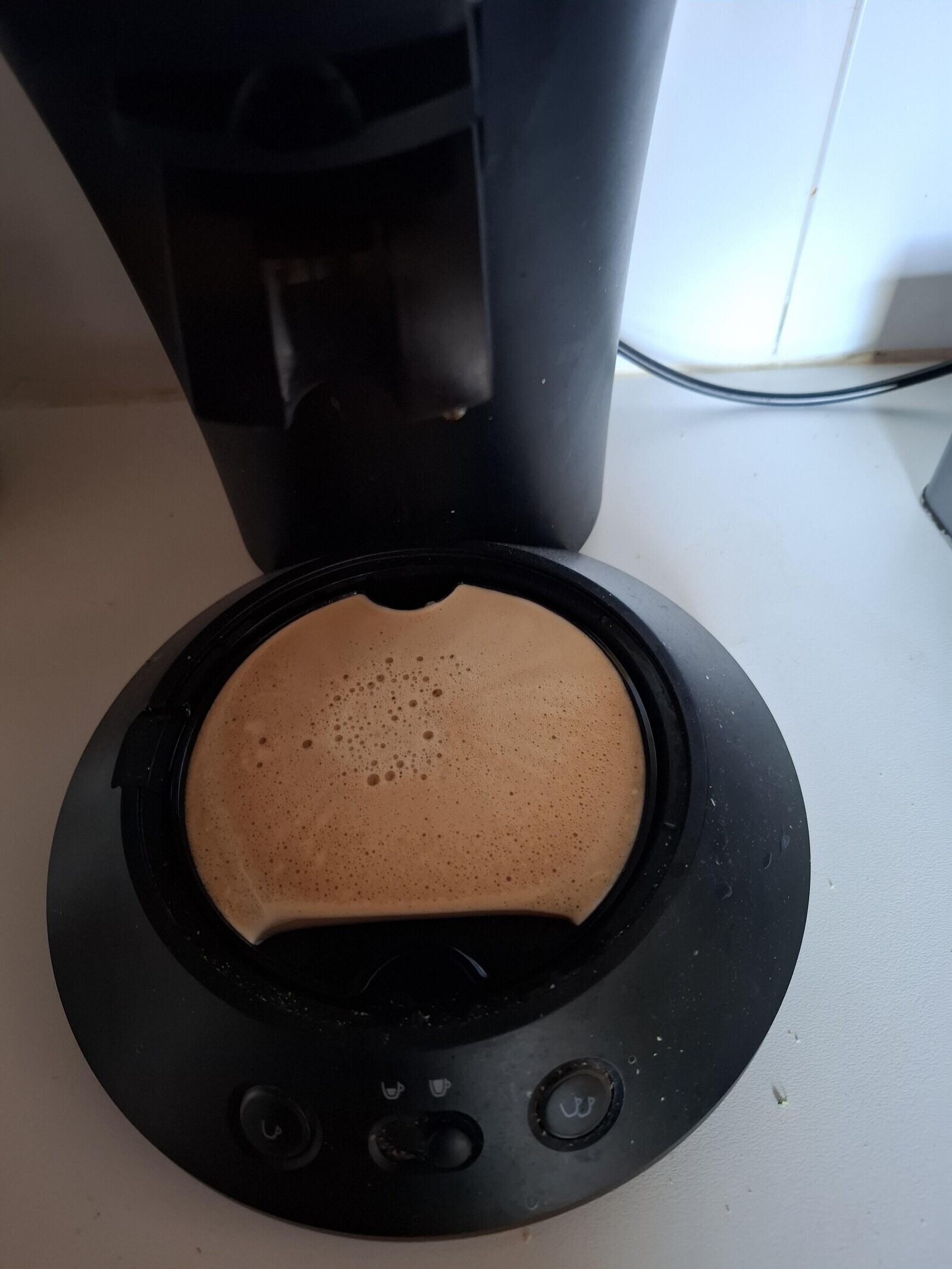 Photos Where Common Sense Turned the Other Cheek