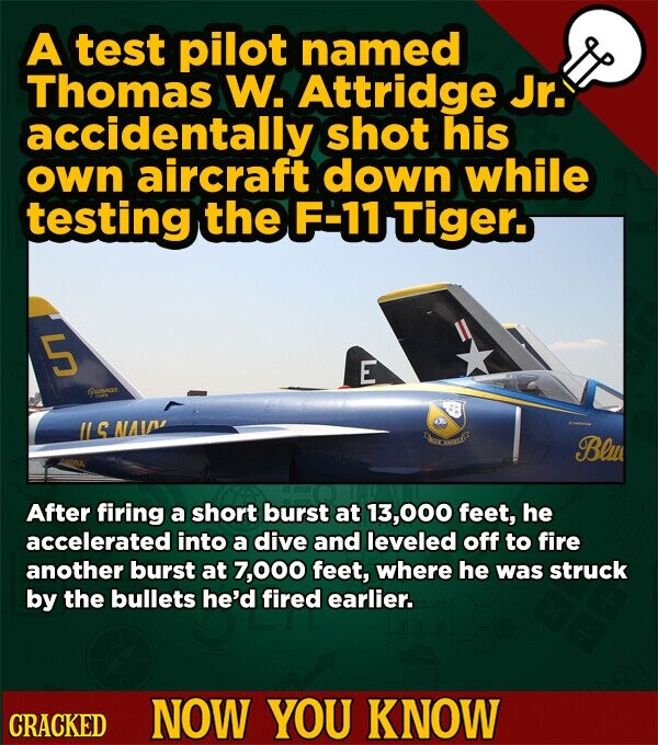 A test pilot named Thomas W. Attridge Jr. accidentally shot his own aircraft down while testing the F-11 Tiger. 5 E U.S NAVY - Blue A After firing a short burst at 13,000 feet, he accelerated into a dive and leveled off to fire another burst at 7,000 feet, where he was struck by the bullets he'd fired earlier. CRACKED NOW YOU KNOW