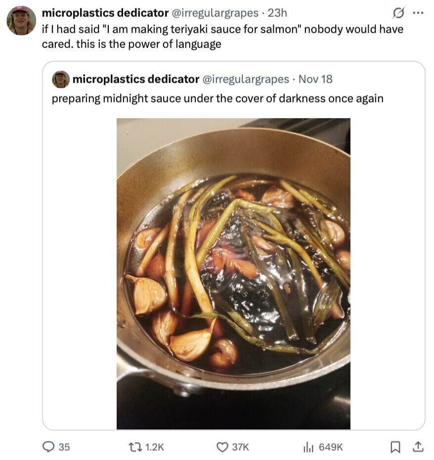 microplastics dedicator @irregulargrapes.23h S ... if I had said I am making teriyaki sauce for salmon nobody would have cared. this is the power of language microplastics dedicator @irregulargrapes Nov 18 preparing midnight sauce under the cover of darkness once again 35 1.2K 37K 649K 