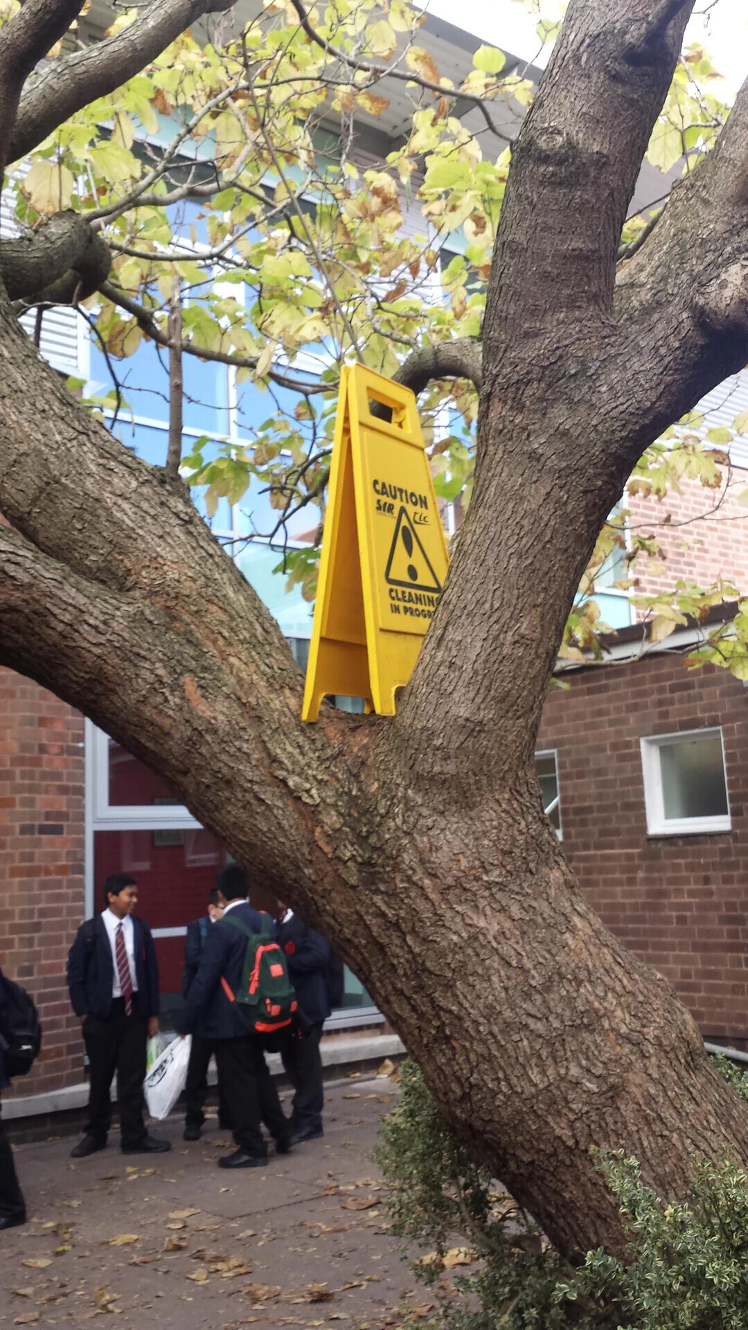 CAUTION tic SIR ! CLEANING IN PROGA