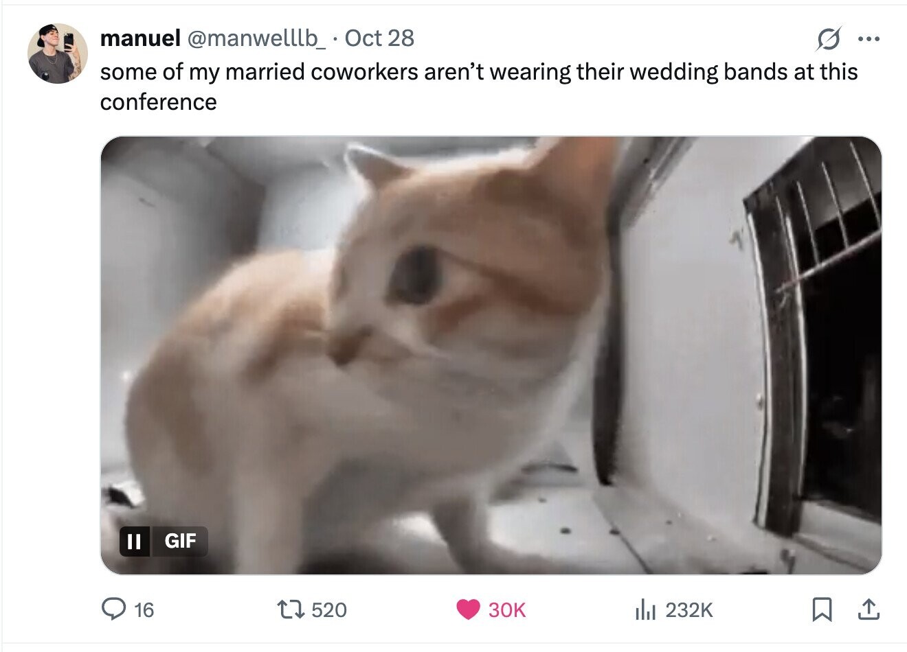 manuel @manwelllb_ Oct 28 ... some of my married coworkers aren't wearing their wedding bands at this conference GIF 16 520 30K del 232K