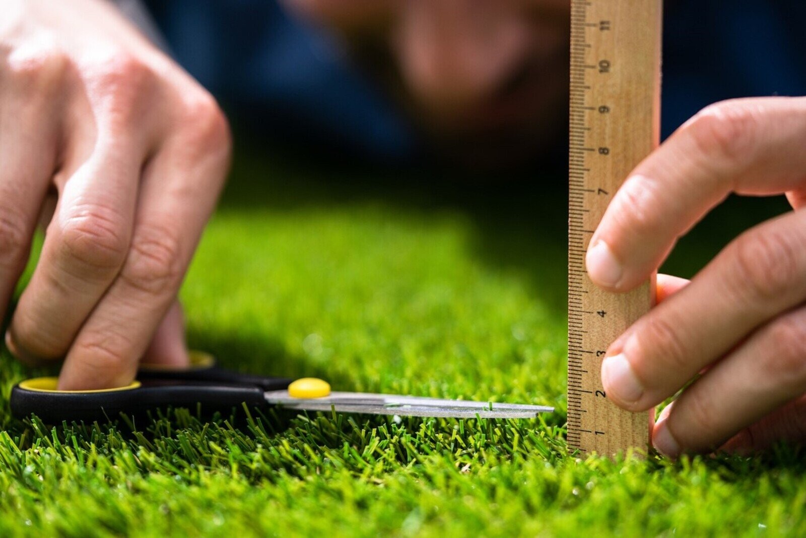 The Most Mundane Things People Found Interesting