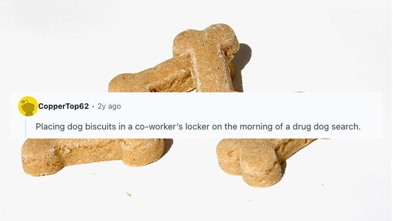 28 of the Most Genius Pranks People Have Been a Part Of