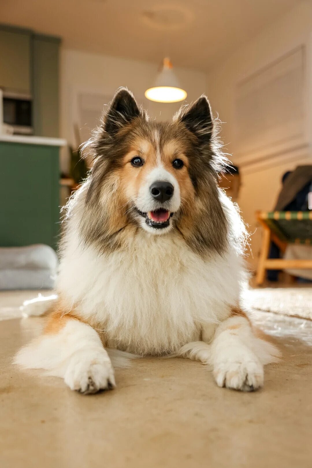 Some of the Day's Most Noteworthy Photos