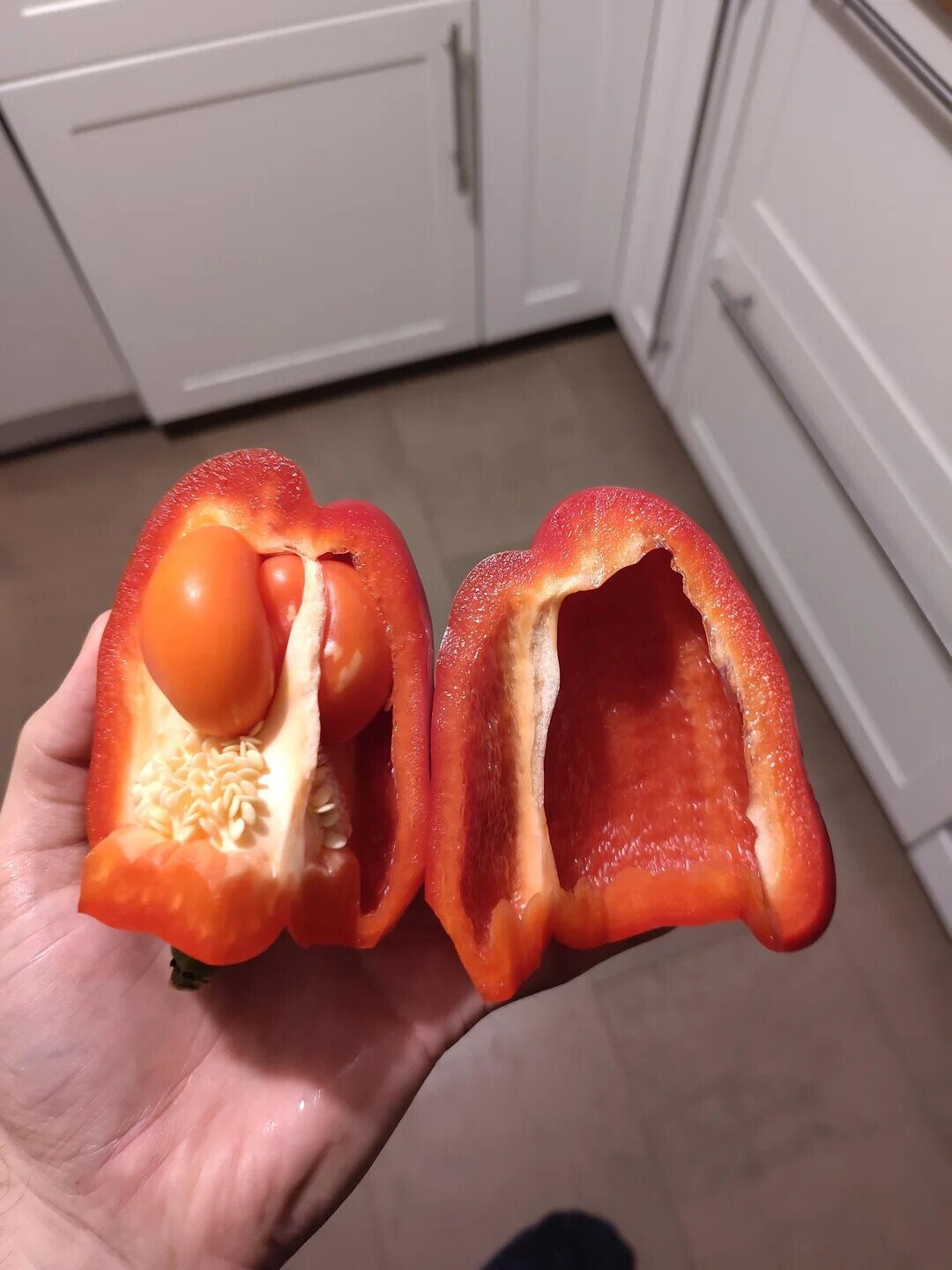 Some of the Day's Most Noteworthy Photos