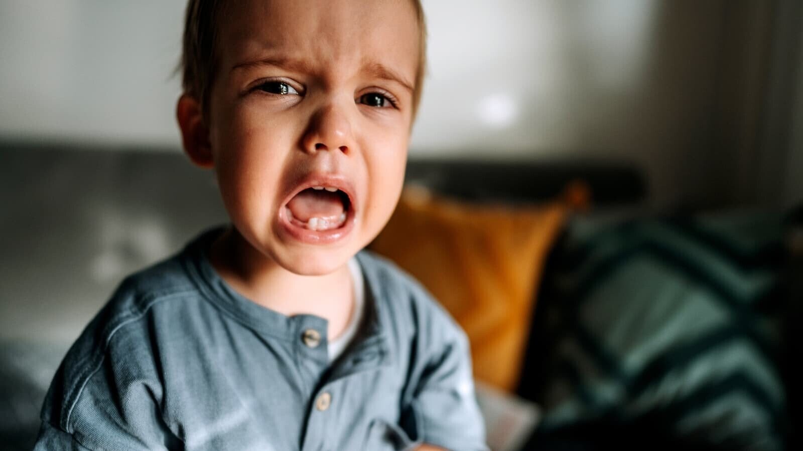 20 Photos Of Kids Right After They Broke Something