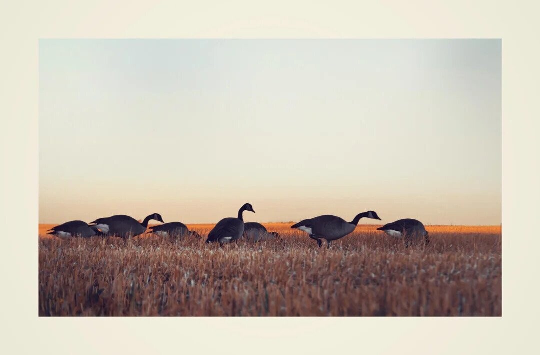 Some of the Day's Most Noteworthy Photos