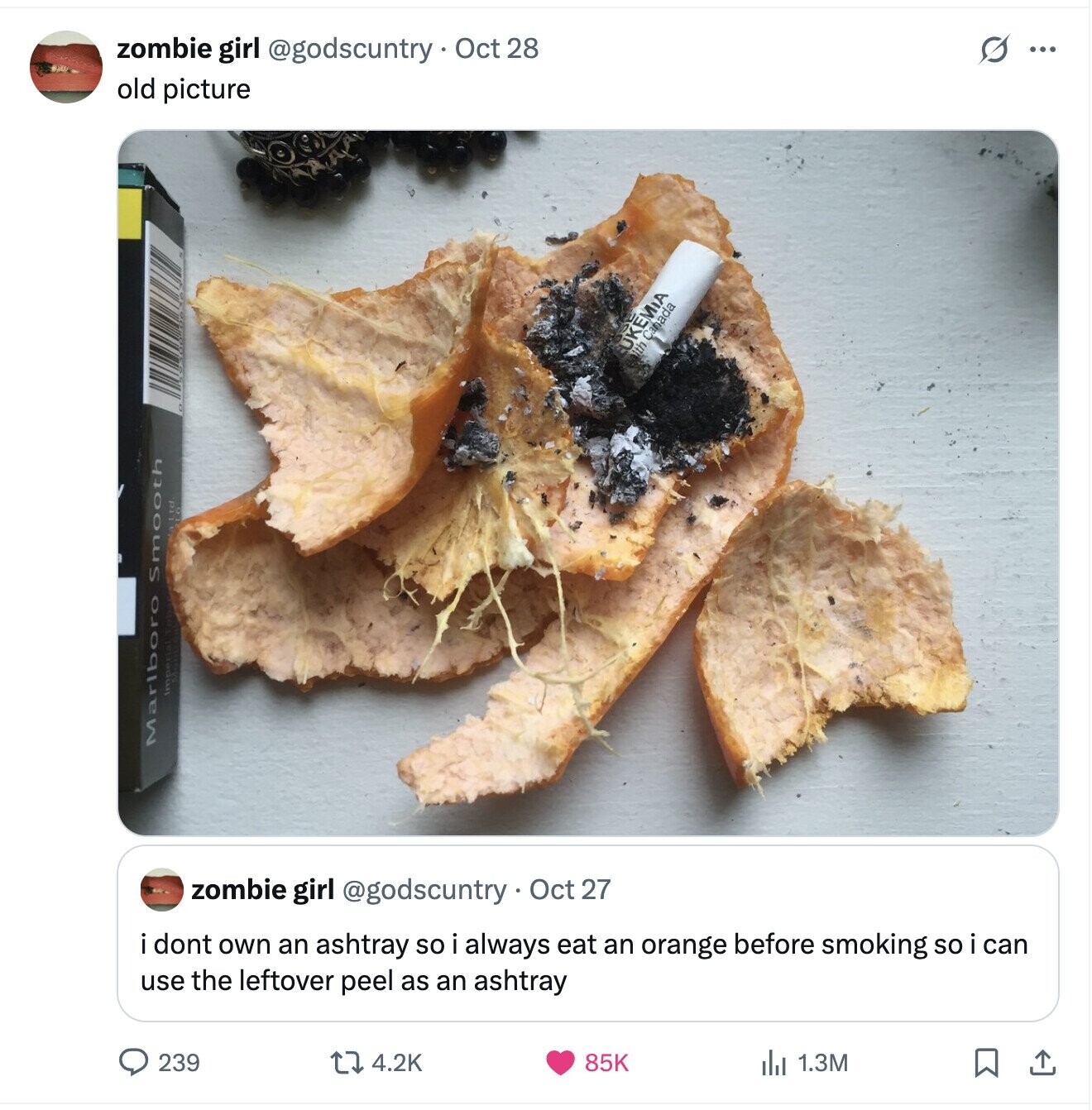 s ... zombie girl @godscuntry - Oct 28 old picture ith Canada UKEMIA PIT Imperial Marlboro Smooth zombie girl @godscuntry Oct 27 i dont own an ashtray so i always eat an orange before smoking so i can use the leftover peel as an ashtray 239 4.2K 85K 1.3M