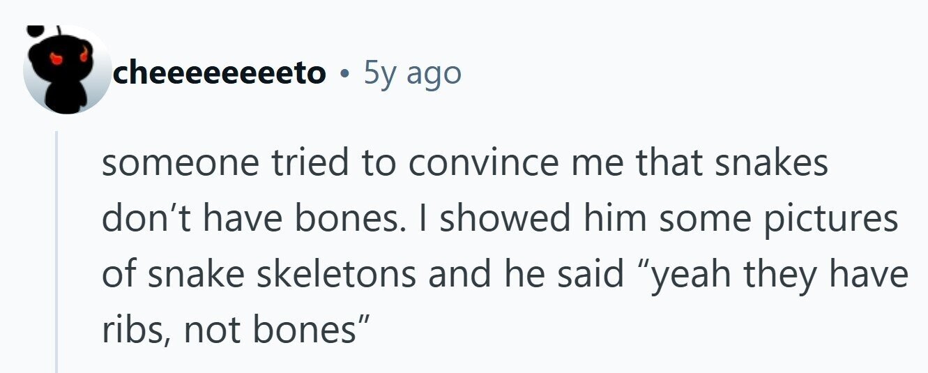 cheeeeeeeeto . 5y ago someone tried to convince me that snakes don't have bones. I showed him some pictures of snake skeletons and he said yeah they have ribs, not bones 