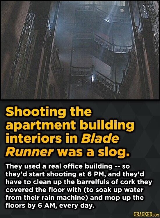 Shooting the apartment building interiors in Blade Runner was a slog. They used a real office building - so they'd start shooting at 6 PM, and they'd have to clean up the barrelfuls of cork they covered the floor with (to soak up water from their rain machine) and mop up the floors by 6 AM, every day. CRACKED.COM