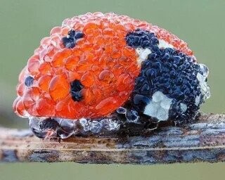 Some of the Day's Most Noteworthy Photos