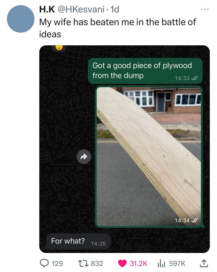 H.K @HKesvani 1d My wife has beaten me in the battle of ideas M Got a good piece of plywood from the dump 14:33 42 14:34 For what? 14:35 1:13 129 832 31.2K 597K