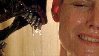 31 Charming Bits of Pop-Culture Trivia That Kissed Us on the Lips While We Were Asleep in the Middle of the Woods