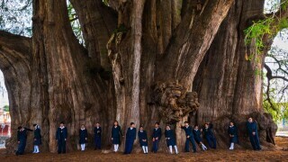 Tk Regular Things That Are Way Bigger Than You Think