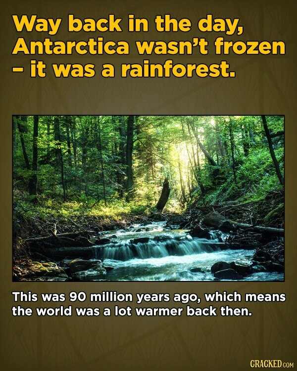 Way back in the day, Antarctica wasn't frozen - it was a rainforest. This was 90 million years ago, which means the world was a lot warmer back then. CRACKED.COM