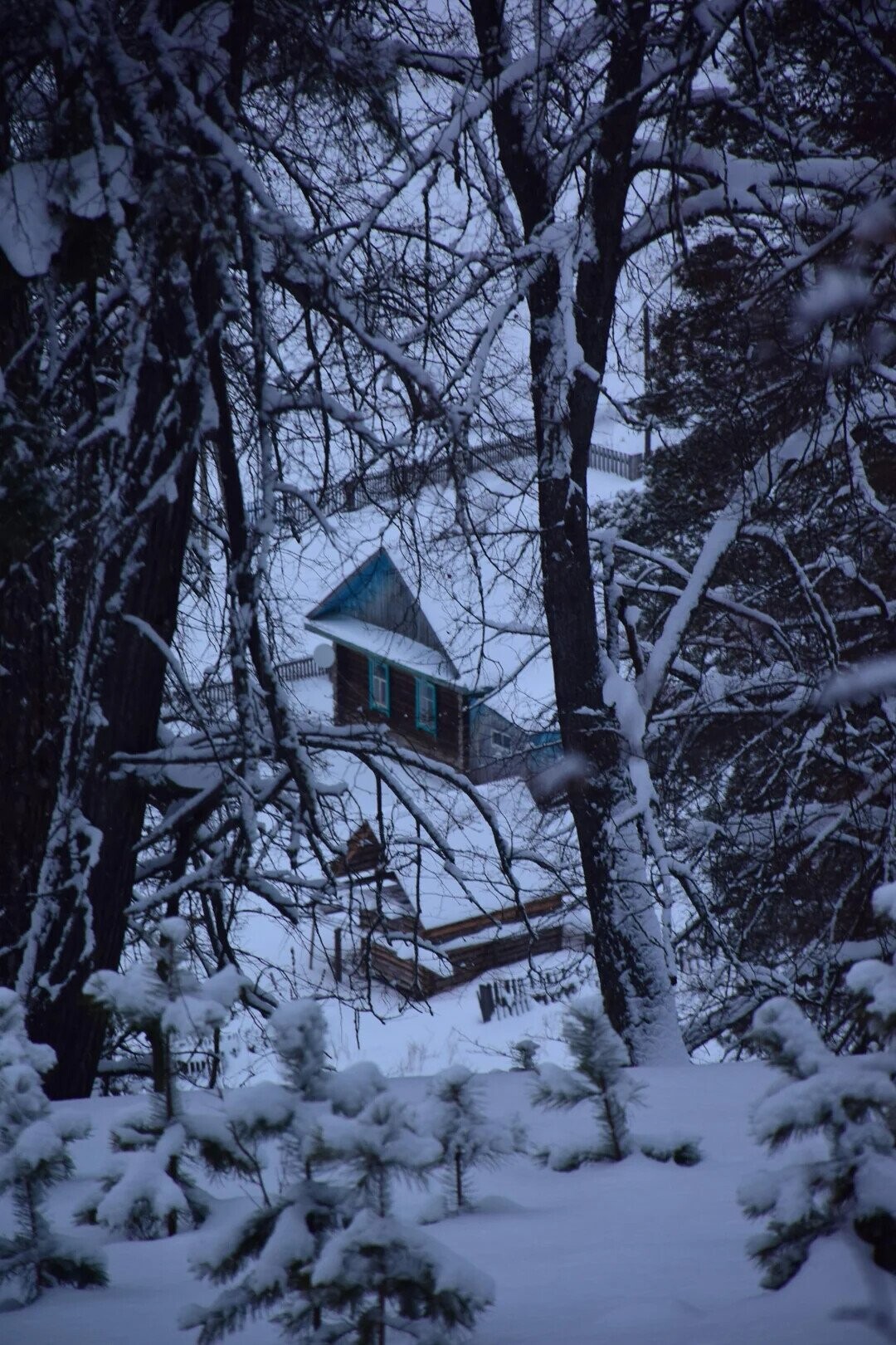 Some of the Day's Most Noteworthy Photos