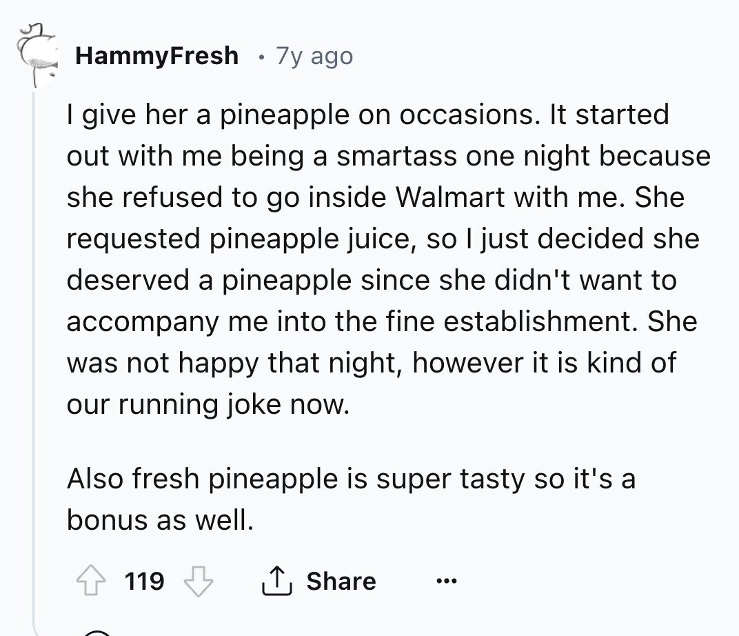 HammyFresh 7y ago I give her a pineapple on occasions. It started out with me being a smartass one night because she refused to go inside Walmart with me. She requested pineapple juice, so I just decided she deserved a pineapple since she didn't want to accompany me into the fine establishment. She was not happy that night, however it is kind of our running joke now. Also fresh pineapple is super tasty so it's a bonus as well. 119 Share ...