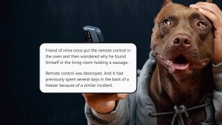 33 Wildly Hilarious Times People’s Wires Got Crossed