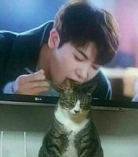 Photos That Stop Time In Its Tracks