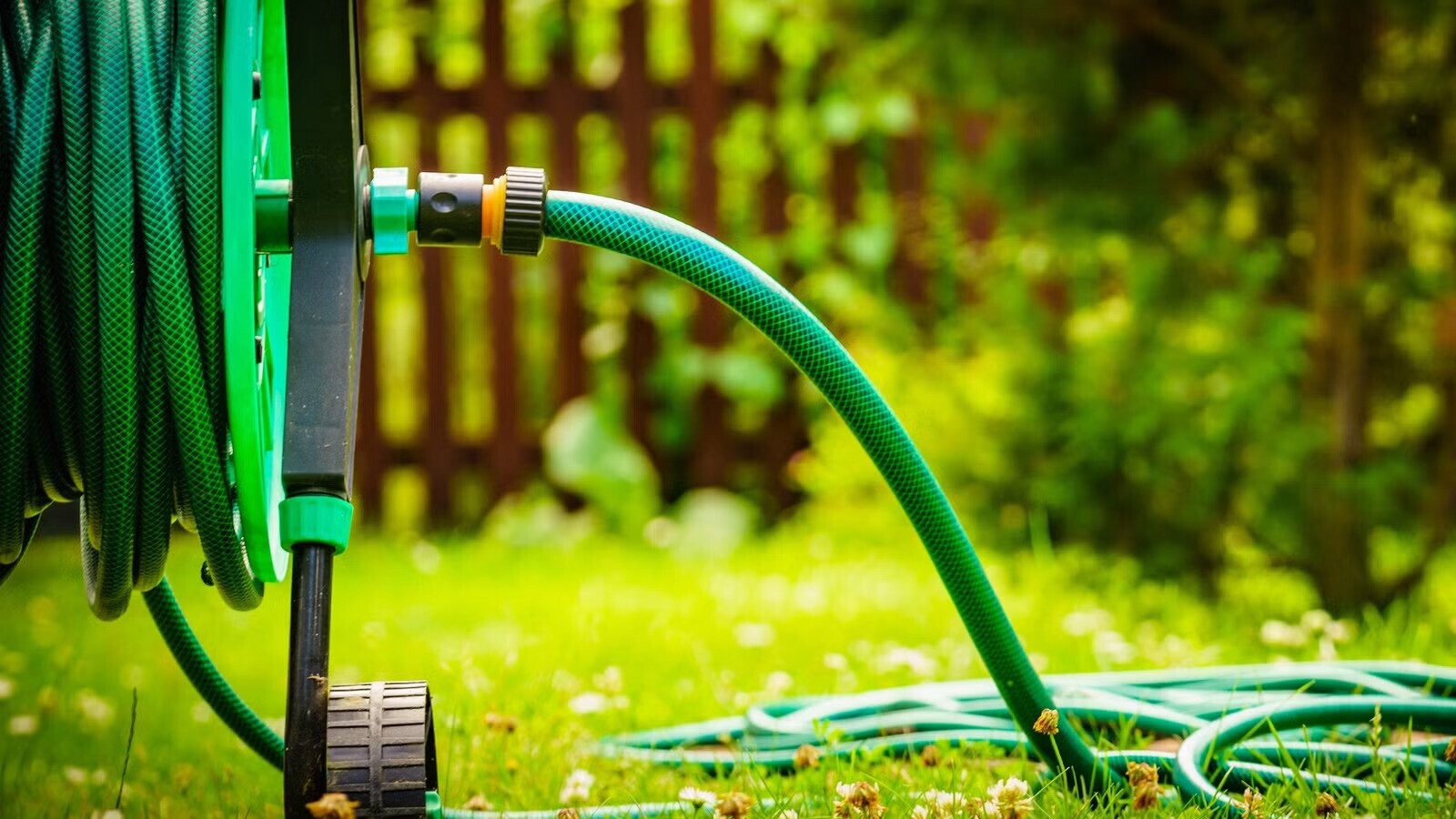 The Most Mundane Things People Found Interesting