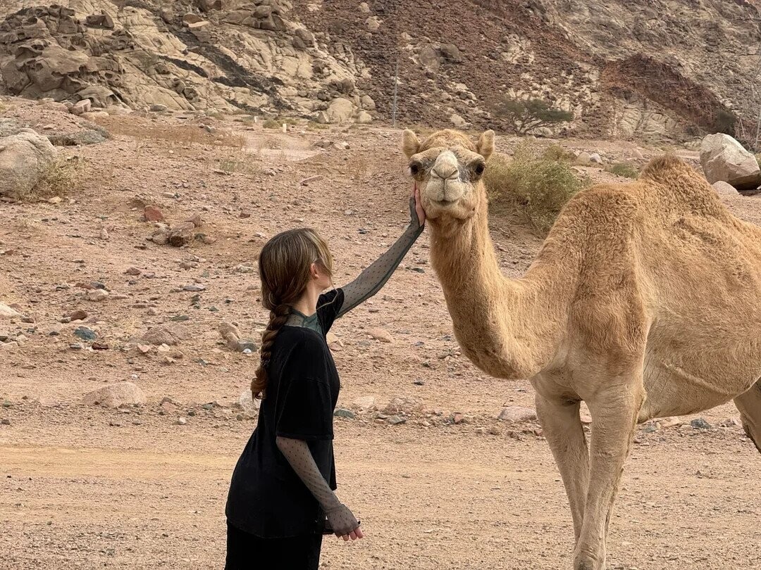 Some of the Day's Most Noteworthy Photos