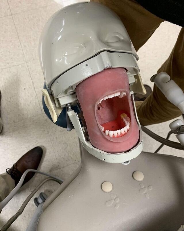 Photos That Freeze A Moment In Your Brain