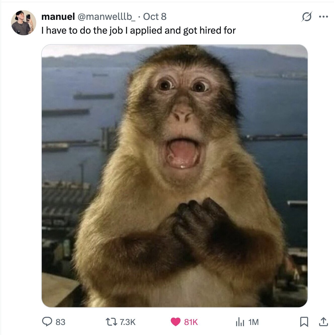 s ... manuel @manwelllb_ Oct 8 I have to do the job I applied and got hired for 83 81K 7.3K del 1M 