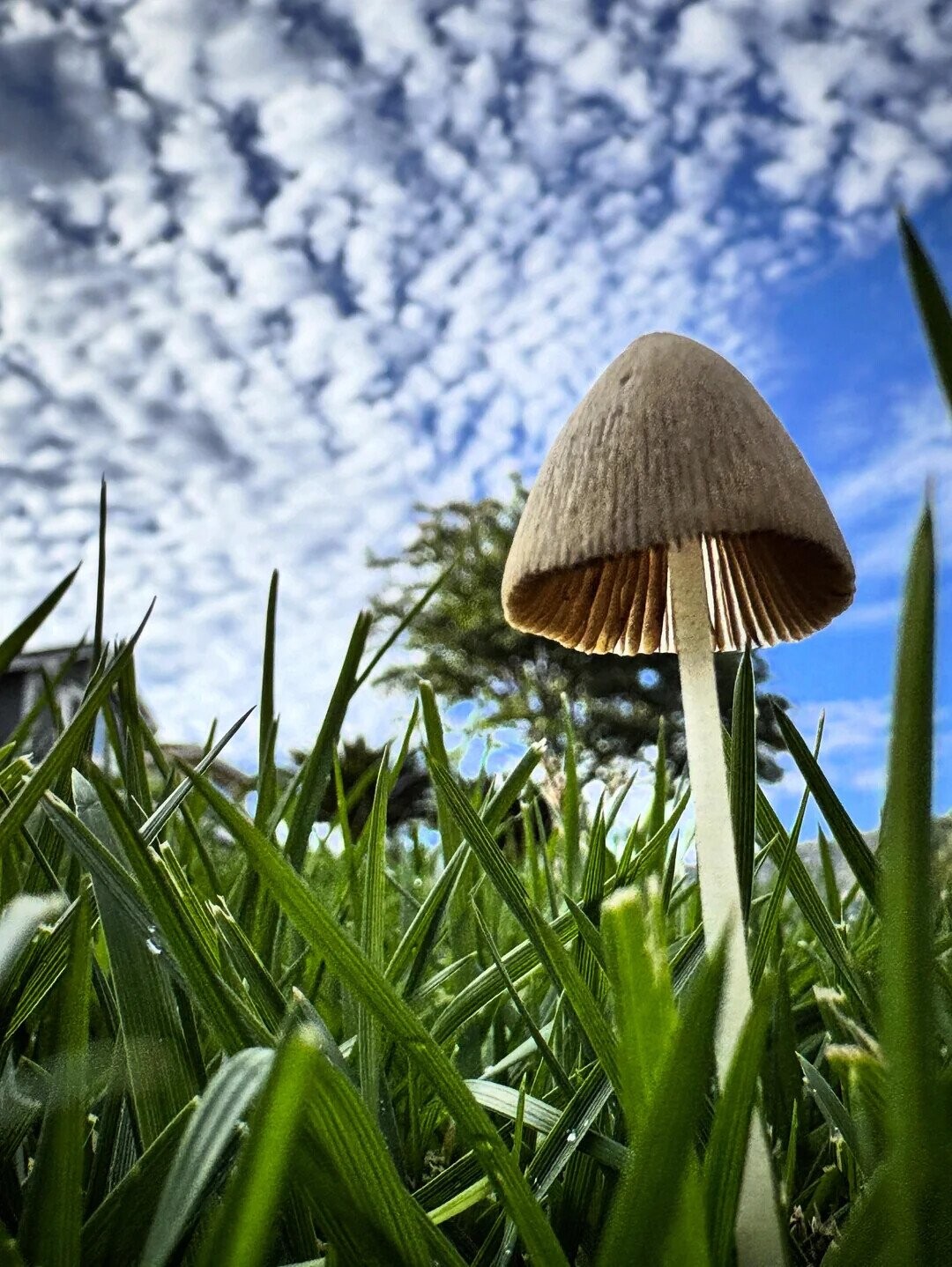 Some of the Day's Most Noteworthy Photos