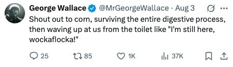 @MrGeorgeWallace Aug 3 George Wallace ... Shout out to corn, surviving the entire digestive process, then waving up at us from the toilet like I'm still here, wockaflocka! 25 85 1K 37K 