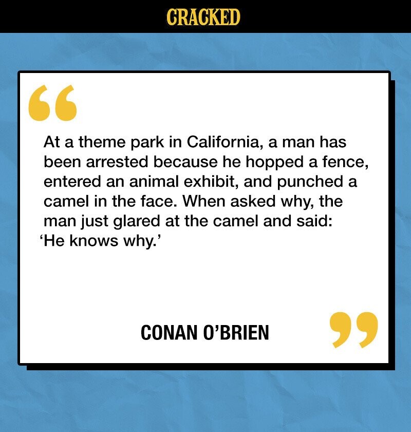 CRACKED At a theme park in California, a man has been arrested because he hopped a fence, entered an animal exhibit, and punched a camel in the face. When asked why, the man just glared at the camel and said: 'He knows why.' CONAN O'BRIEN 