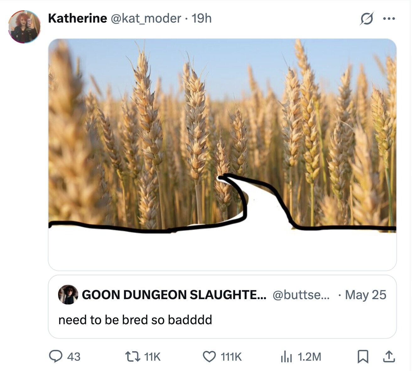 Katherine @kat_moder . 19h S ... GOON DUNGEON SLAUGHTE... @buttse... May 25 need to be bred so badddd 43 11K 111K 1.2M