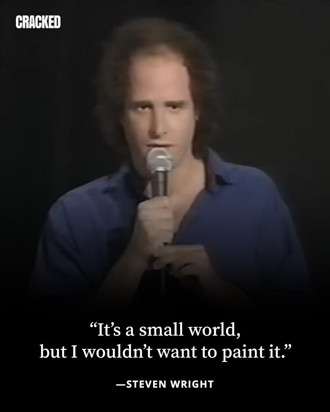 CRACKED It's a small world, but I wouldn't want to paint it. -STEVEN WRIGHT 
