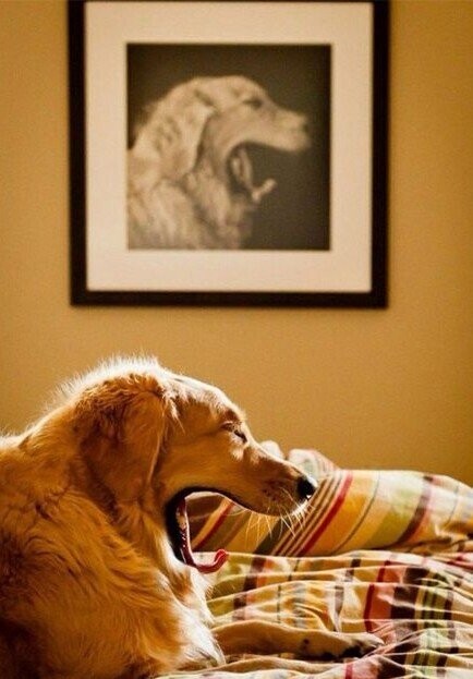 Photos That Stop Time In Its Tracks