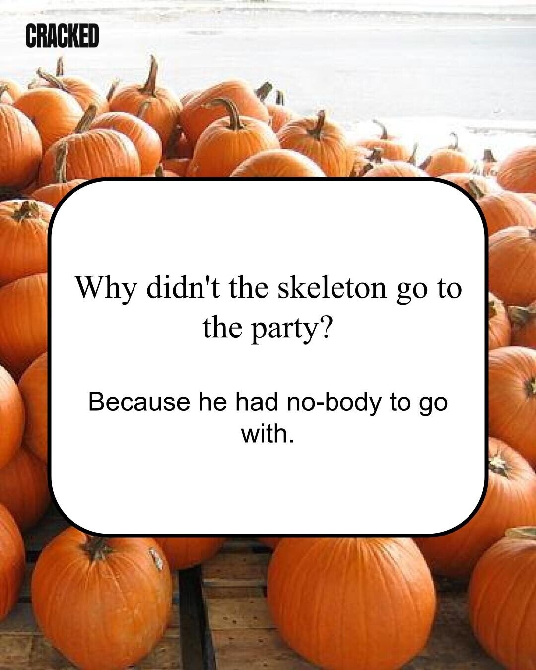 CRACKED Why didn't the skeleton go to the party? Because he had no-body to go with.