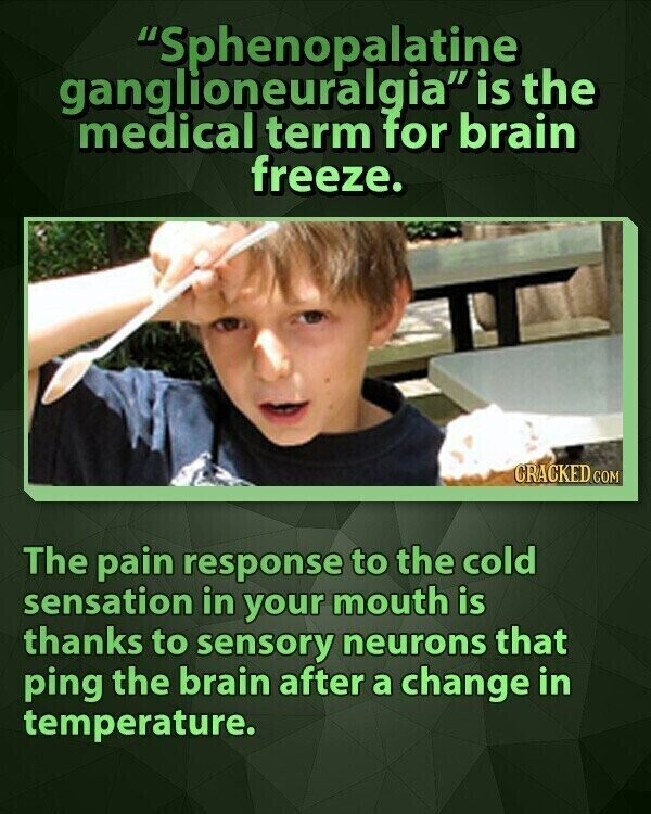 Sphenopalatine ganglioneuralgia is the medical term for brain freeze. CRACKED COM The pain response to the cold sensation in your mouth is thanks to sensory neurons that ping the brain after a change in temperature.