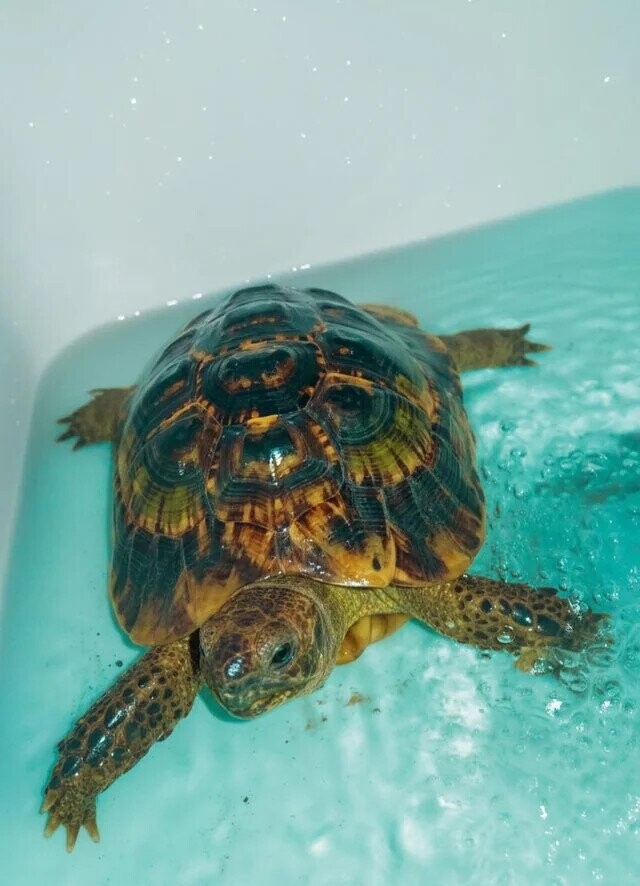 Some of the Day's Most Noteworthy Photos