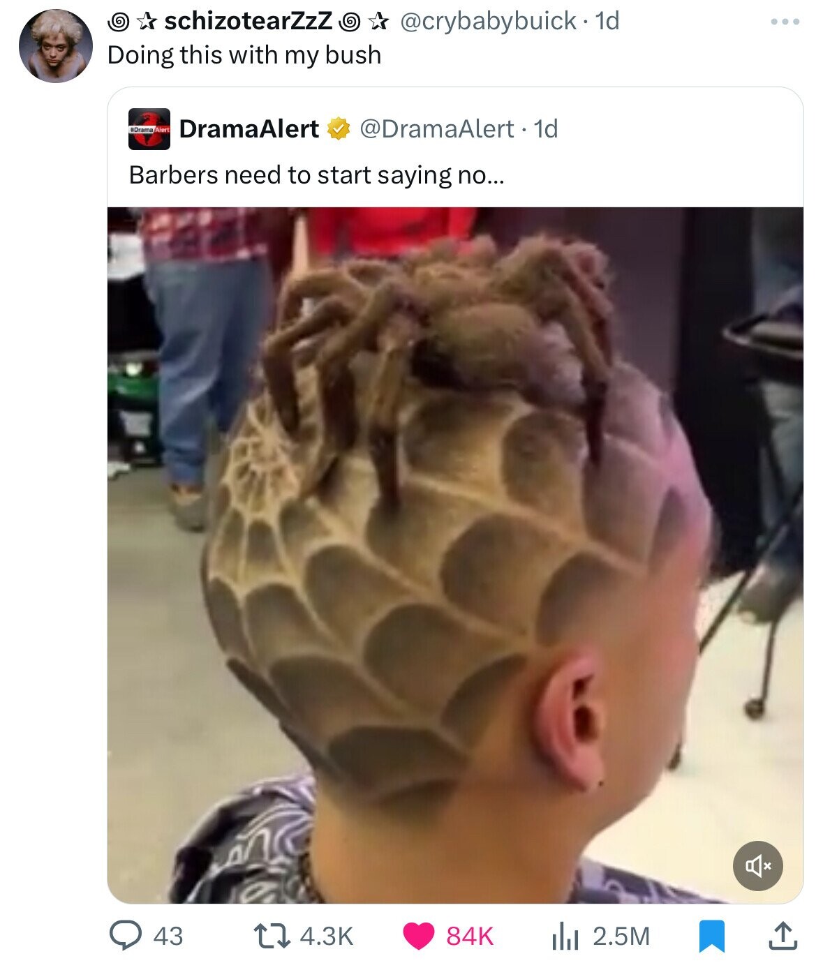 G schizotearZzZ @crybabybuick- 1d Doing this with my bush #Drama Alert DramaAlert @DramaAlert - 1d Barbers need to start saying no... 43 84K 4.3K 2.5M