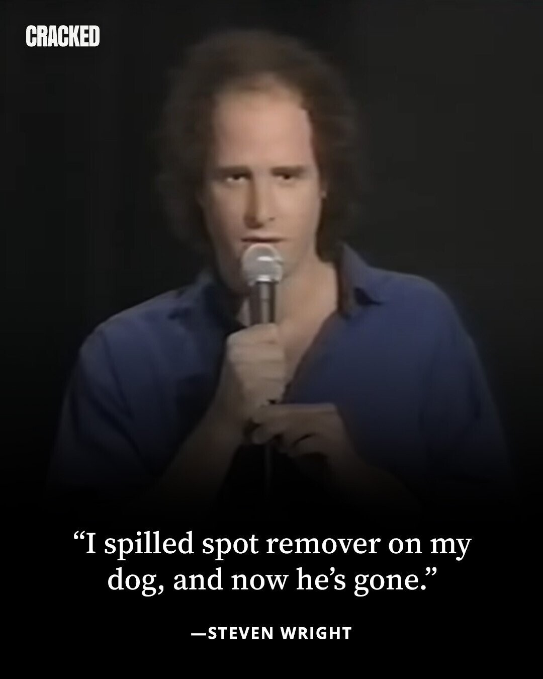 CRACKED I spilled spot remover on my dog, and now he's gone. -STEVEN WRIGHT 