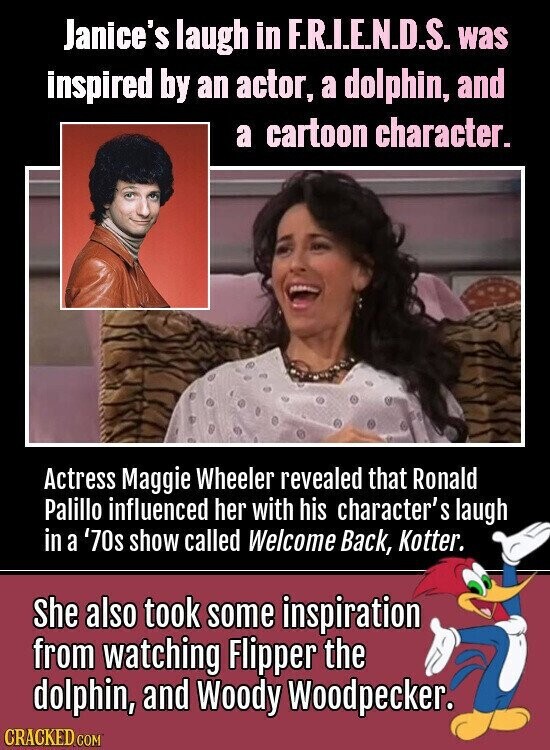 Janice's laugh in F.R.I.E.N.D.S. was inspired by an actor, a dolphin, and a cartoon character. Actress Maggie Wheeler revealed that Ronald Palillo influenced her with his character's laugh in a '70s show called Welcome Back, Kotter. She also took some inspiration from watching Flipper the dolphin, and Woody Woodpecker. CRACKED.COM