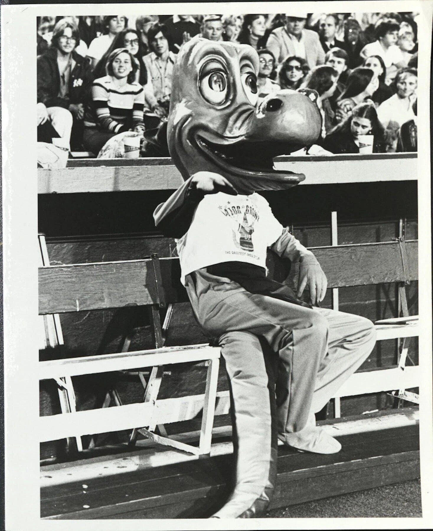 CALOR GMW THE GREATEST