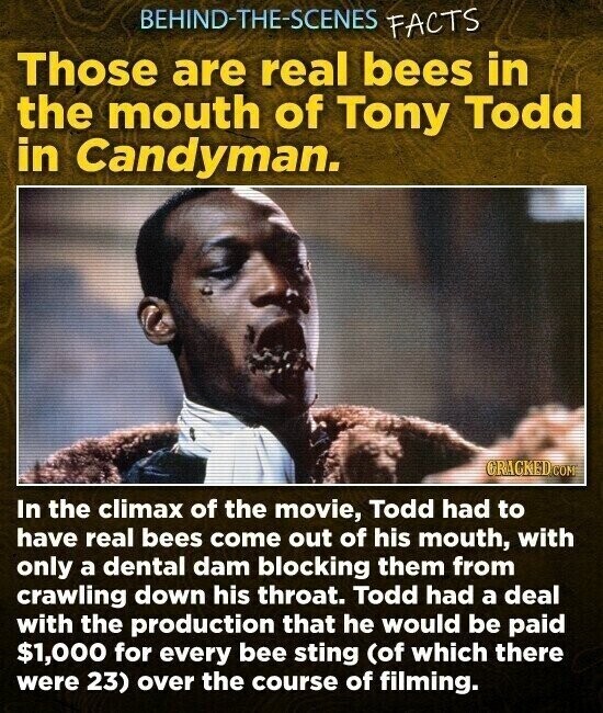BEHIND-THE-SCENES FACTS Those are real bees in the mouth of Tony Todd in Candyman. GRACKED COM In the climax of the movie, Todd had to have real bees come out of his mouth, with only a dental dam blocking them from crawling down his throat. Todd had a deal with the production that he would be paid $1,000 for every bee sting (of which there were 23) over the course of filming.
