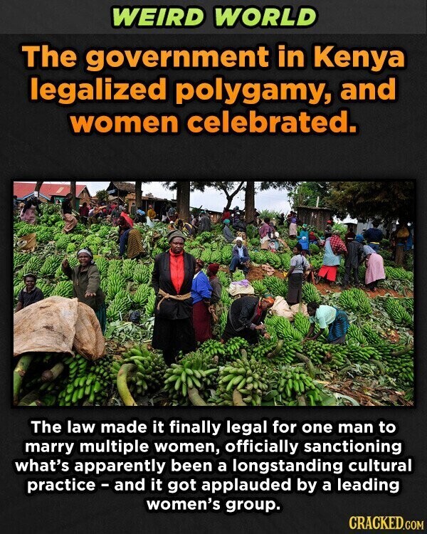 WEIRD WORLD The government in Kenya legalized polygamy, and women celebrated. The law made it finally legal for one man to marry multiple women, officially sanctioning what's apparently been a longstanding cultural practice - and it got applauded by a leading women's group. CRACKED.COM