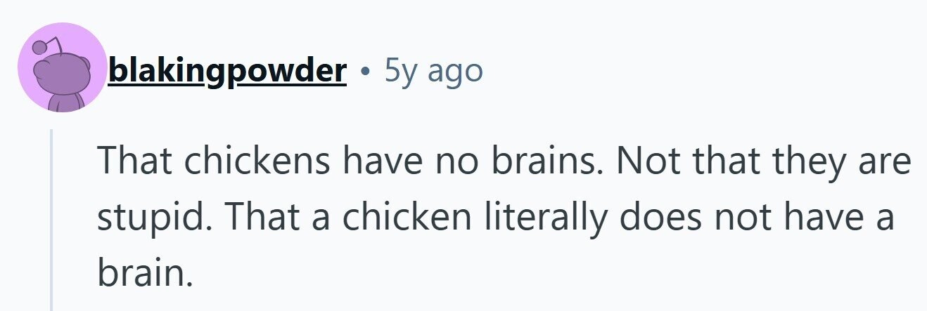 blakingpowder . 5y ago That chickens have no brains. Not that they are stupid. That a chicken literally does not have a brain. 
