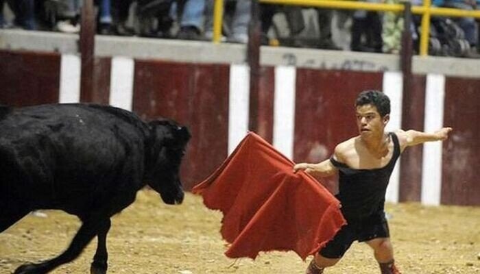 Photos That Freeze A Moment In Your Brain