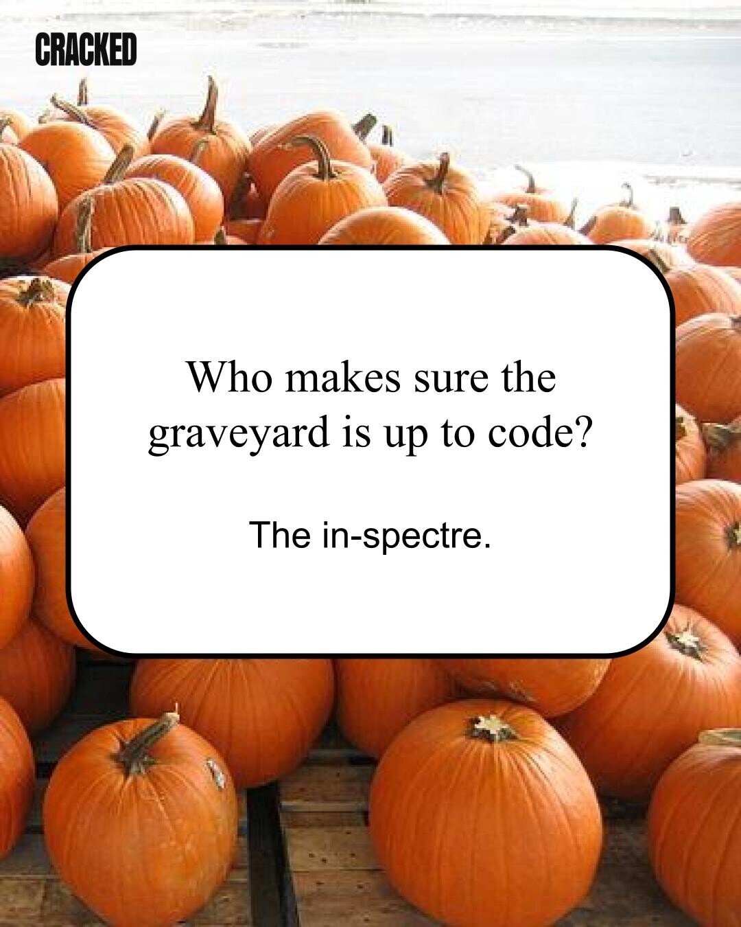 CRACKED Who makes sure the graveyard is up to code? The in-spectre.